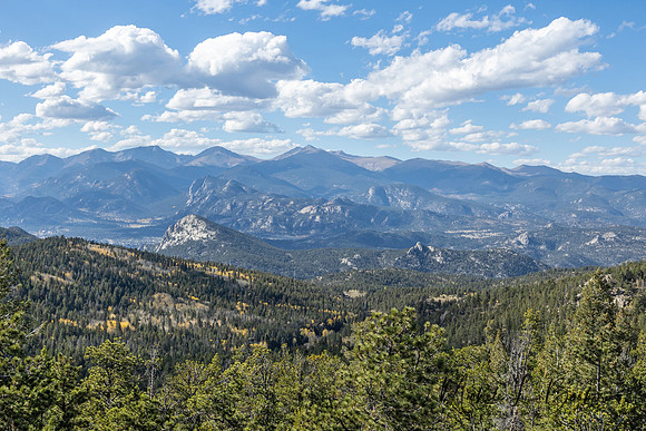 Estes