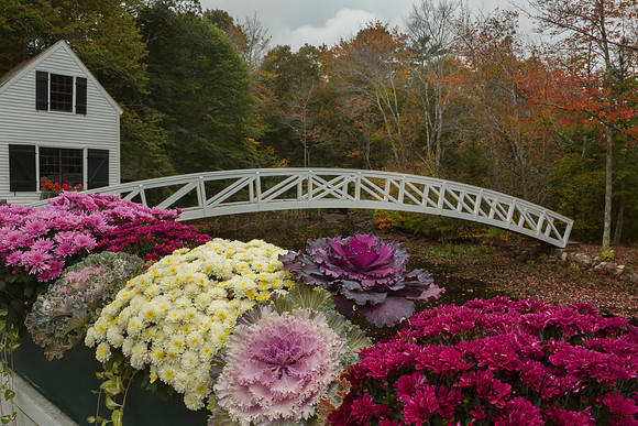 Somesville Bridge with Fall Flowers