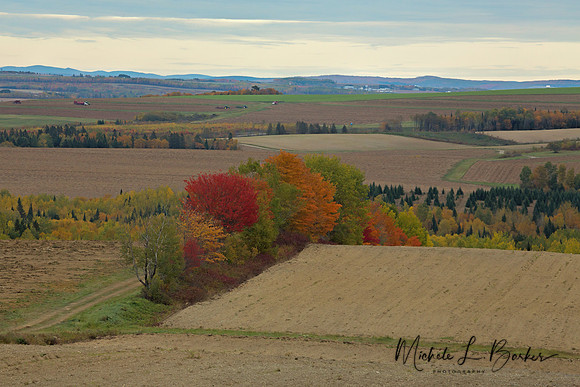 Farm Fields St John Valley