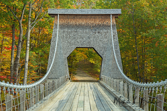 Fall colors starting to appear