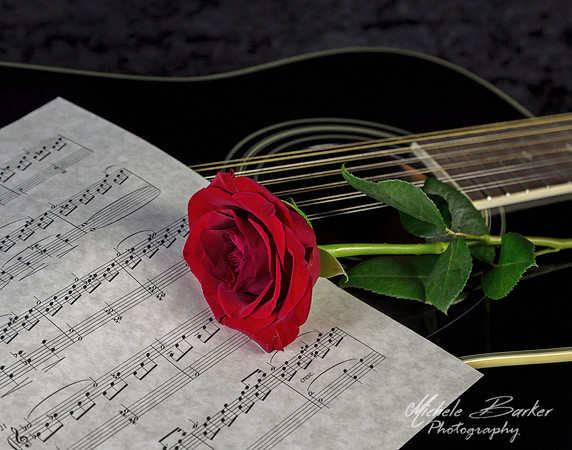 Acoustic Guitar