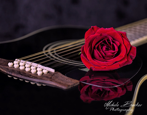 Acoustic Guitar