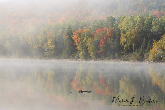 Foggy Morning First Roach Pond