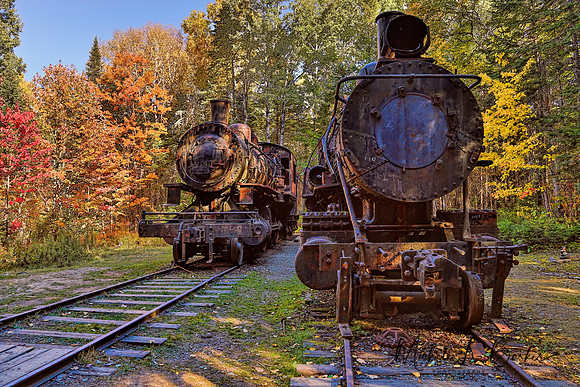 Abandoned Trains