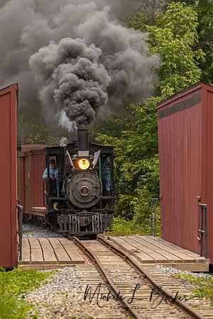 WW&F Railway No. 9